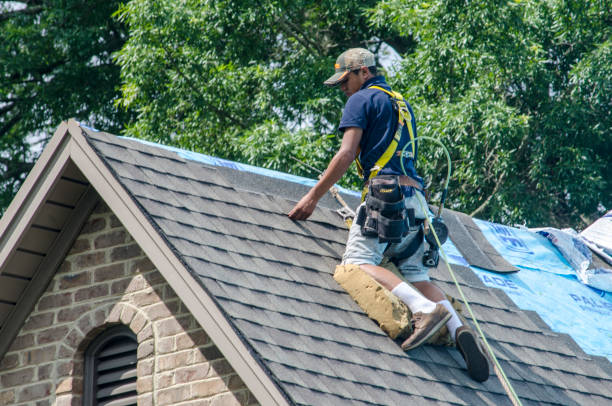 Best Roof Gutter Cleaning  in North Tustin, CA